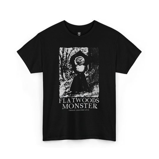 Black t-shirt with a monochrome graphic print of the Flatwoods Monster and the text 'FLATWOODS MONSTER' on the front.