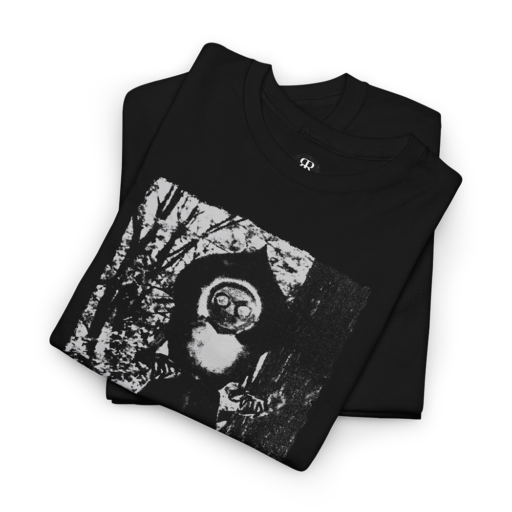 Black t-shirt with a monochrome graphic print of the Flatwoods Monster and the text 'FLATWOODS MONSTER' on the front.