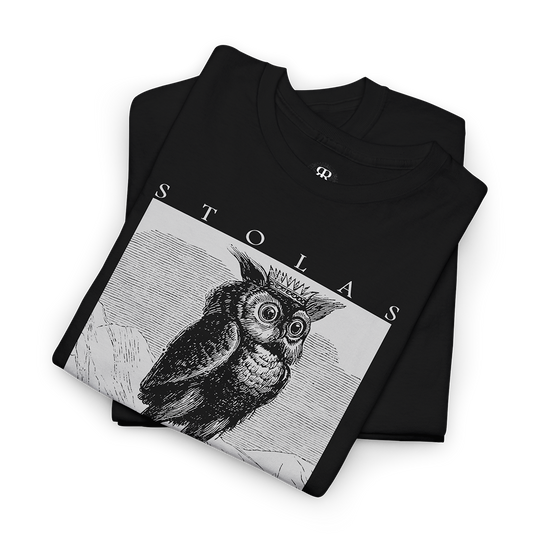 Black T-shirt with a graphic print of an owl and the name 'Stolas' written below it, along with the phrase 'Great Prince of Hell'.